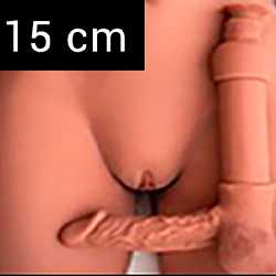 Penis 15 cm