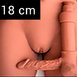 Penis 18 cm